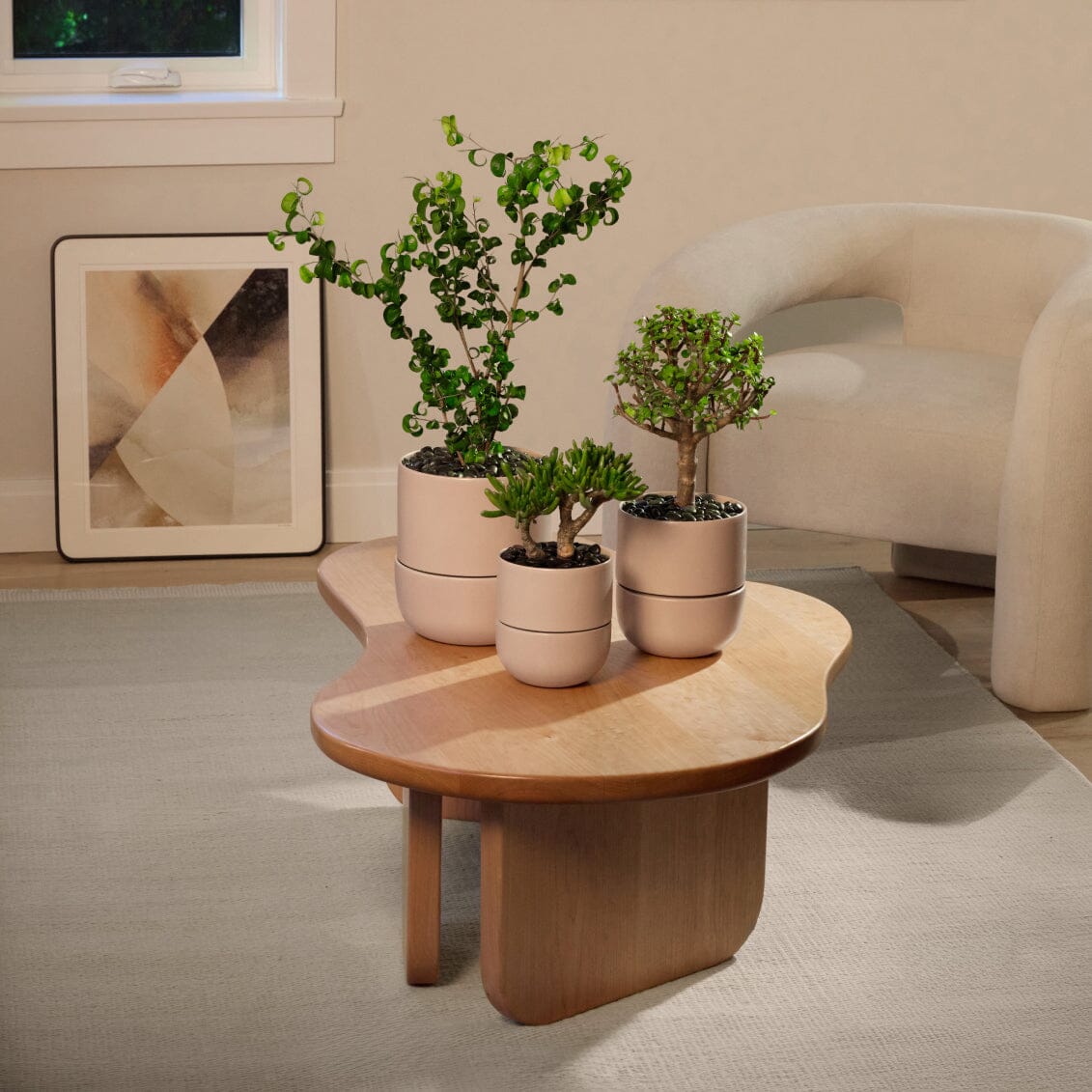 Small Planter - Image 14
