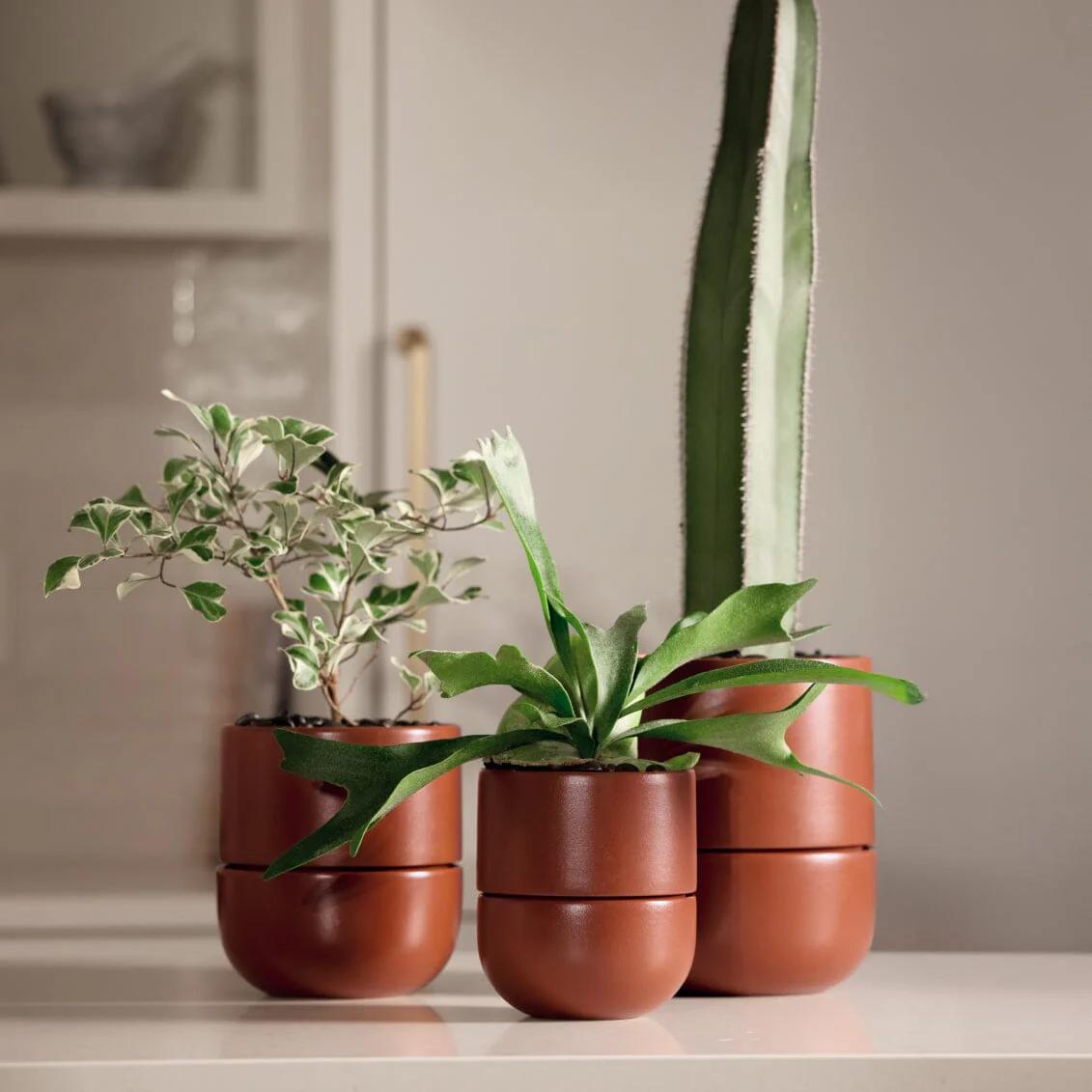 Large Planter - Image 10
